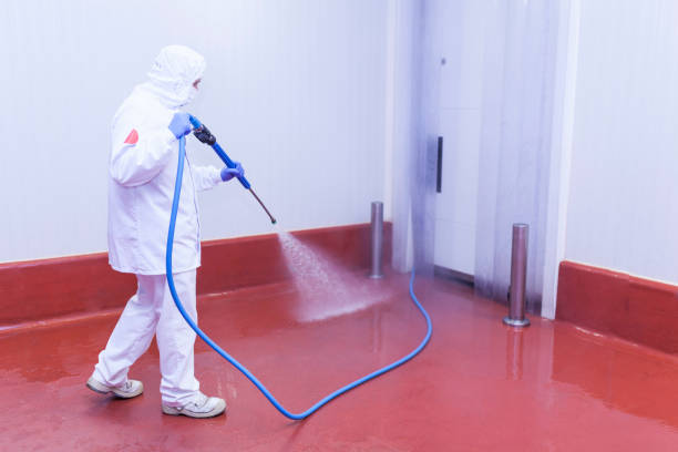 Best Sign and Awning Cleaning  in Castle Point, MO