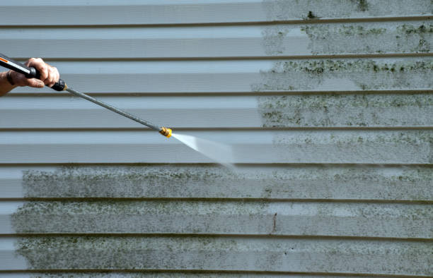 Best Gutter Cleaning  in Castle Point, MO